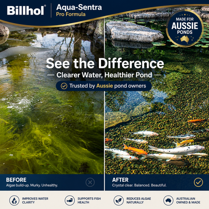 Billhol® Aqua-Sentra Pro Formula– End Algae Nightmares, Restore Your Pond’s Beauty Fast!🔴